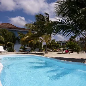 Tortuga , Playa Bonaire, Sint Eustatius en Saba